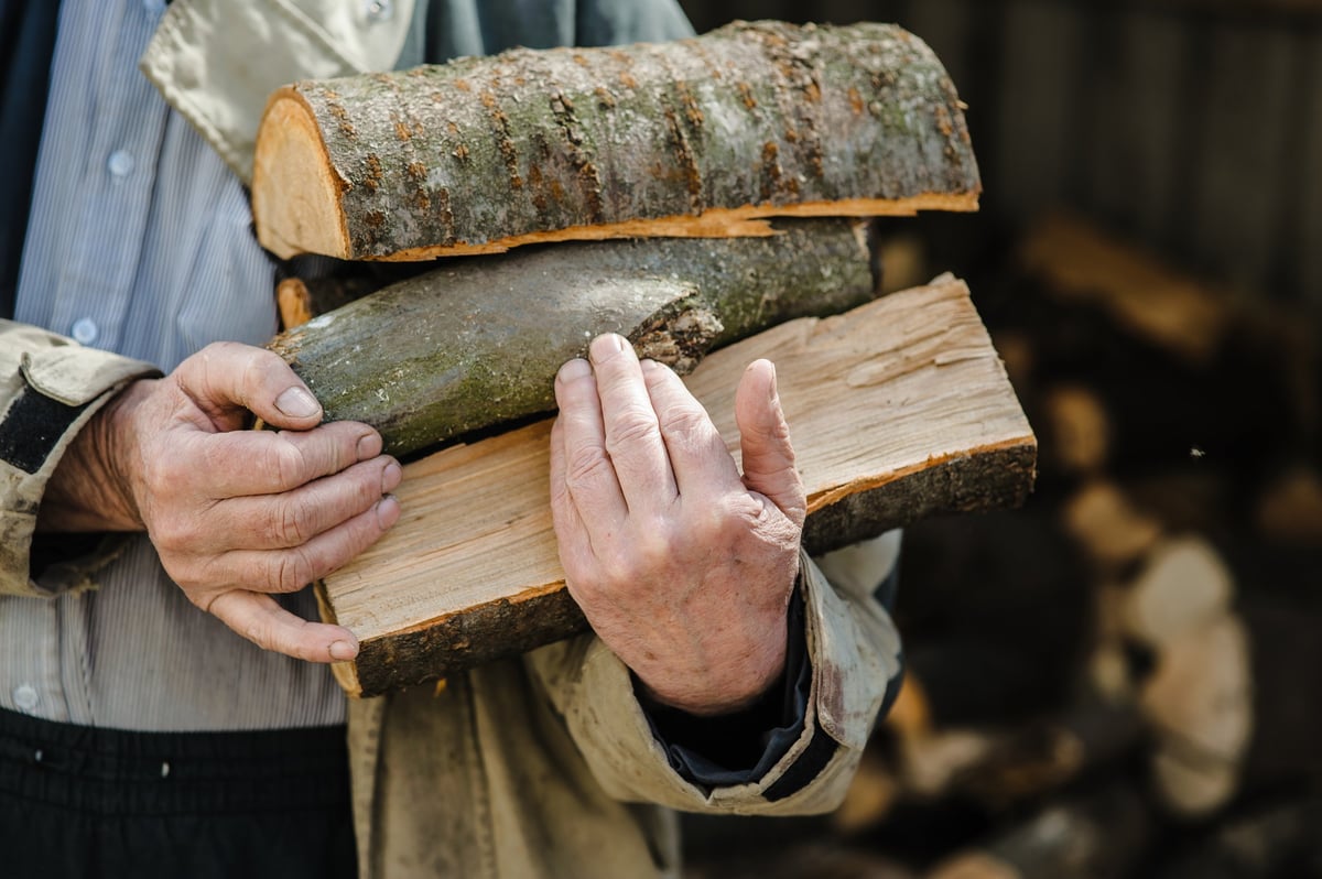 Rough veined hands carrying freshly chopped firewood with a large pile behind